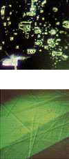 Untreated Emerald 4